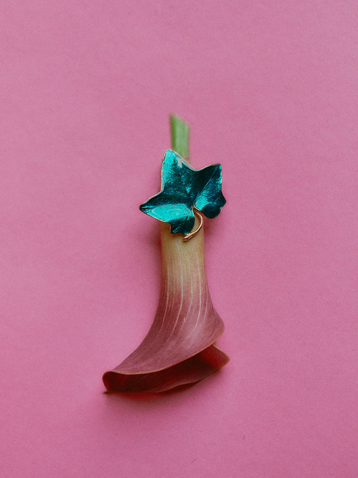 Edera Ring in Bronze and Mediterranean Blue